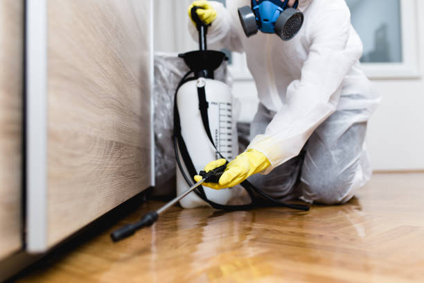 Best Pest Control Near Me in Frankston, TX