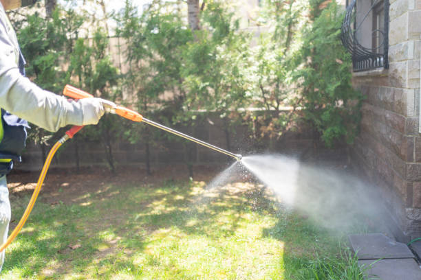 Best Termite Control Services  in Frankston, TX