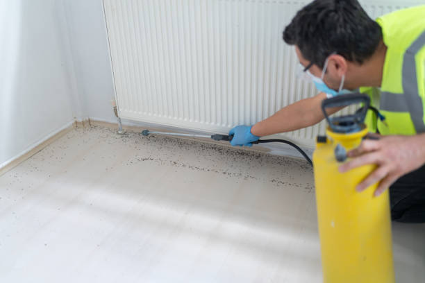 Best Flea Control Services  in Frankston, TX