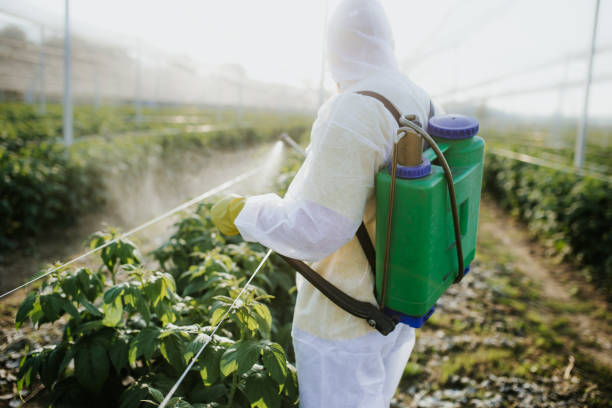 Best Pest Removal Services  in Frankston, TX